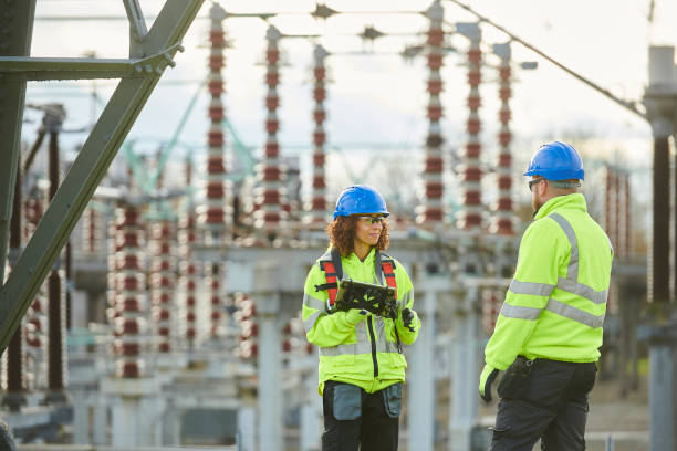 Best Electric Panel Repair  in Salina, UT